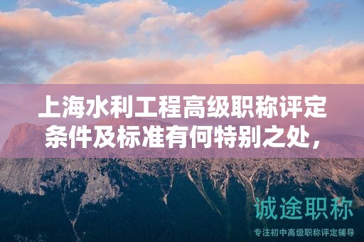 上海水利工程高级职称评定条件及标准有何特别之处，怎么理解？