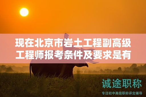 现在北京市岩土工程副高级工程师报考条件及要求是有哪些？