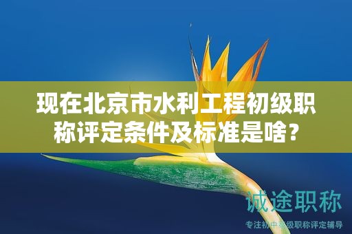 现在北京市水利工程初级职称评定条件及标准是啥？