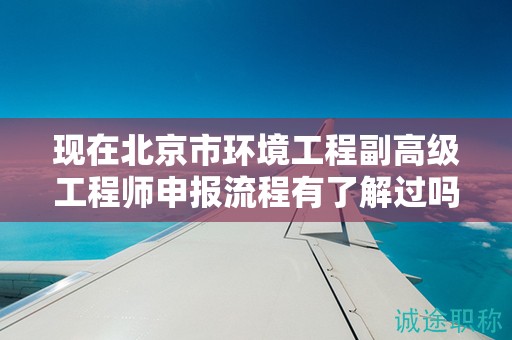 现在北京市环境工程副高级工程师申报流程有了解过吗？