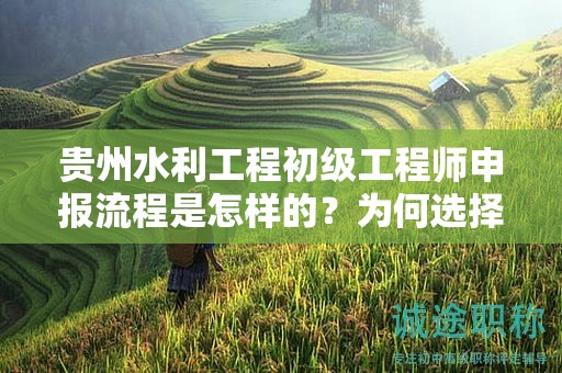 贵州水利工程初级工程师申报流程是怎样的？为何选择这一流程？
