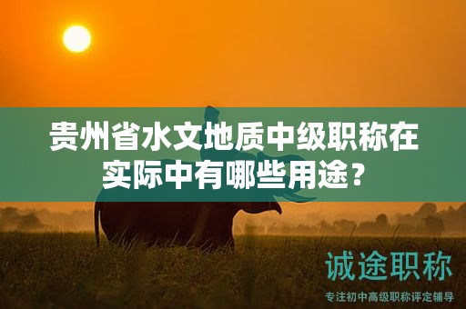 贵州省水文地质中级职称在实际中有哪些用途？