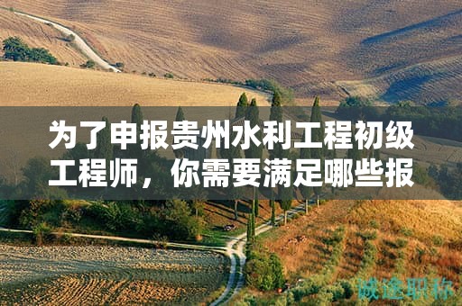 为了申报贵州水利工程初级工程师，你需要满足哪些报考条件及要求？