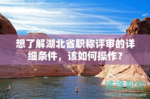 想了解湖北省职称评审的详细条件，该如何操作？