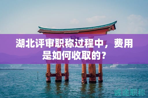 湖北评审职称过程中，费用是如何收取的？