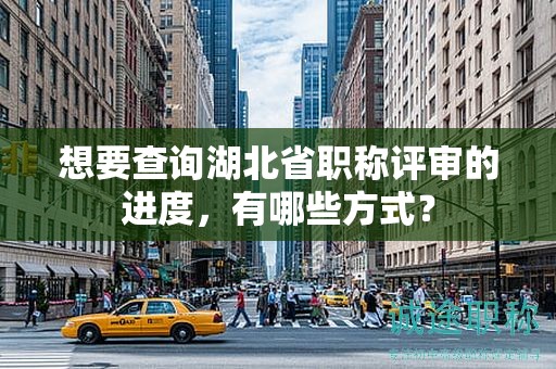 想要查询湖北省职称评审的进度，有哪些方式？