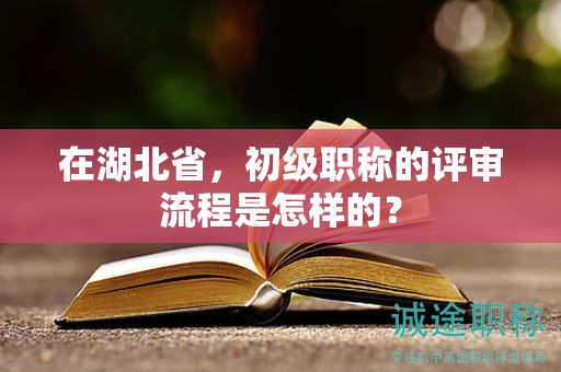 在湖北省，初级职称的评审流程是怎样的？