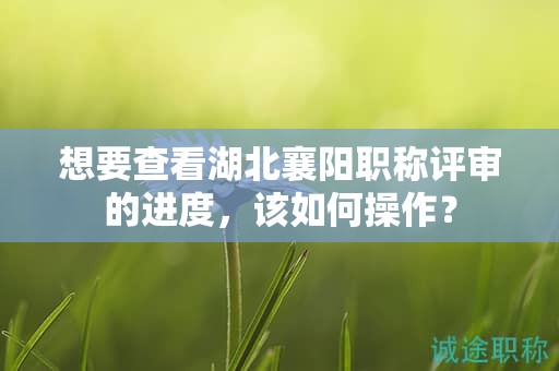 想要查看湖北襄阳职称评审的进度，该如何操作？