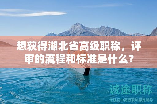 想获得湖北省高级职称，评审的流程和标准是什么？
