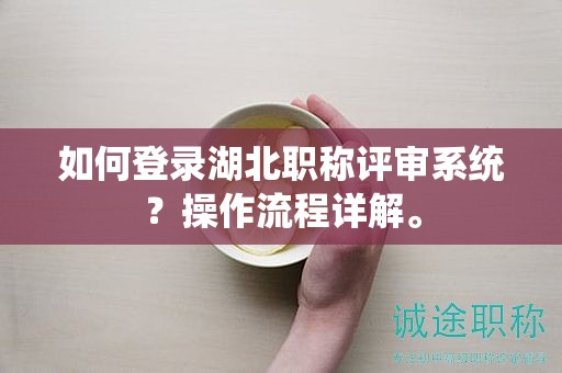 如何登录湖北职称评审系统？操作流程详解。