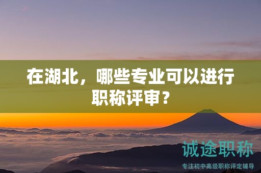 在湖北，哪些专业可以进行职称评审？