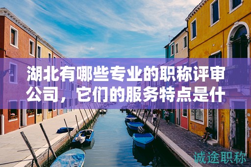 湖北有哪些专业的职称评审公司，它们的服务特点是什么？
