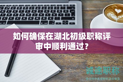 如何确保在湖北初级职称评审中顺利通过？
