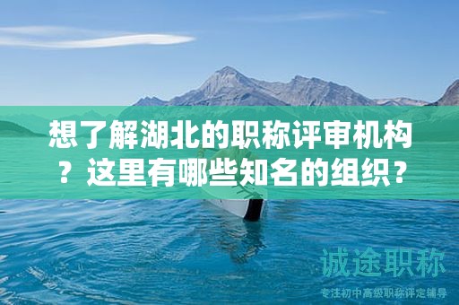 想了解湖北的职称评审机构？这里有哪些知名的组织？