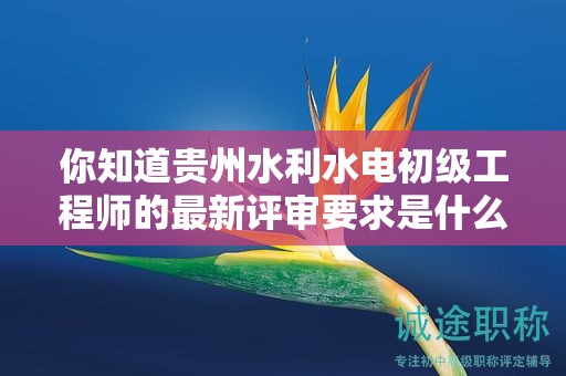 你知道贵州水利水电初级工程师的最新评审要求是什么吗？