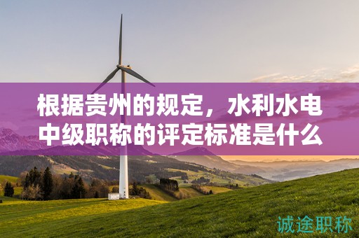 根据贵州的规定，水利水电中级职称的评定标准是什么？
