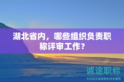 湖北省内，哪些组织负责职称评审工作？
