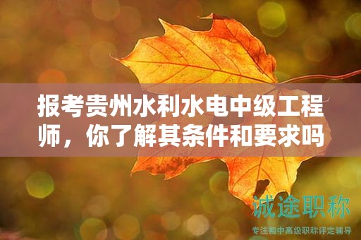 报考贵州水利水电中级工程师，你了解其条件和要求吗？