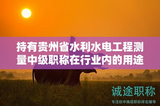 持有贵州省水利水电工程测量中级职称在行业内的用途是什么？
