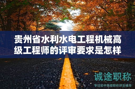 贵州省水利水电工程机械高级工程师的评审要求是怎样的？