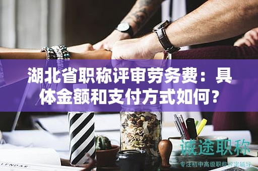 湖北省职称评审劳务费：具体金额和支付方式如何？