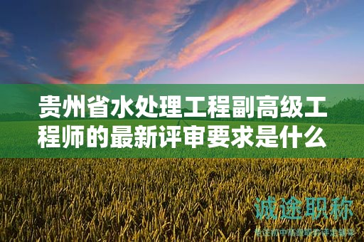 贵州省水处理工程副高级工程师的最新评审要求是什么？