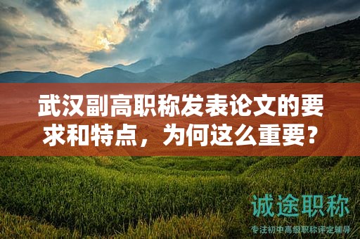 武汉副高职称发表论文的要求和特点，为何这么重要？
