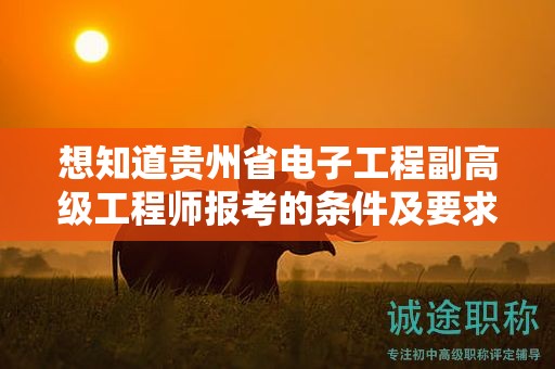 想知道贵州省电子工程副高级工程师报考的条件及要求吗？