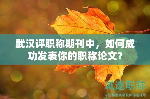 武汉评职称期刊中，如何成功发表你的职称论文？