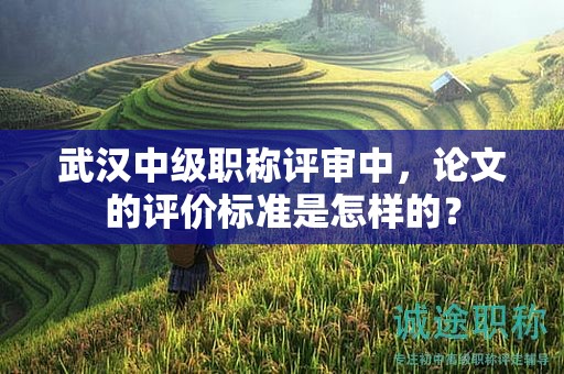武汉中级职称评审中，论文的评价标准是怎样的？