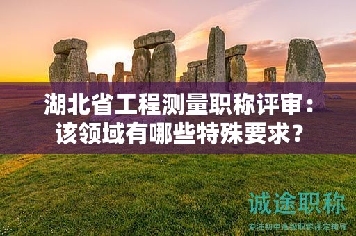 湖北省工程测量职称评审：该领域有哪些特殊要求？