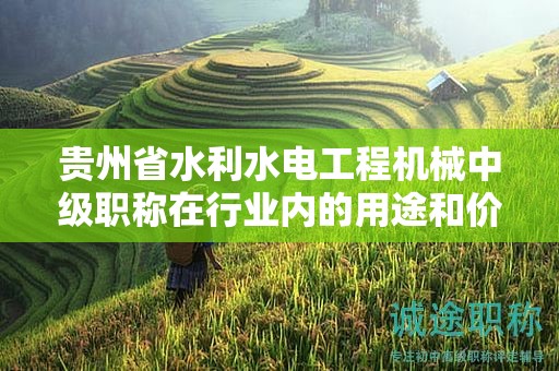 贵州省水利水电工程机械中级职称在行业内的用途和价值有哪些？