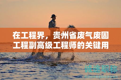 在工程界，贵州省废气废固工程副高级工程师的关键用途有哪些？