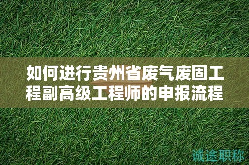 如何进行贵州省废气废固工程副高级工程师的申报流程？