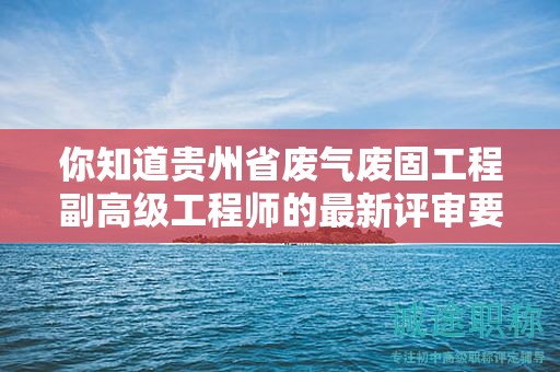 你知道贵州省废气废固工程副高级工程师的最新评审要求吗？