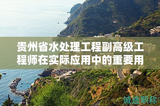 贵州省水处理工程副高级工程师在实际应用中的重要用途是什么？