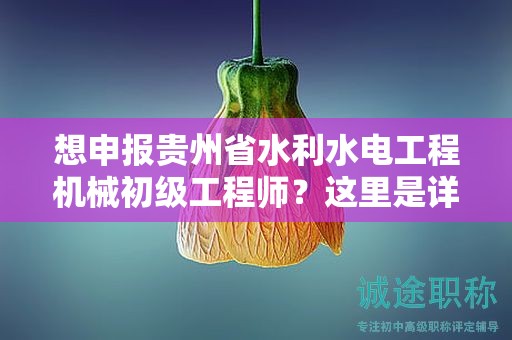 想申报贵州省水利水电工程机械初级工程师？这里是详细的流程！