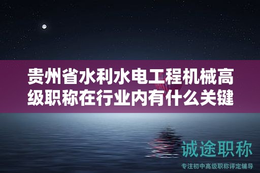 贵州省水利水电工程机械高级职称在行业内有什么关键用途和价值？