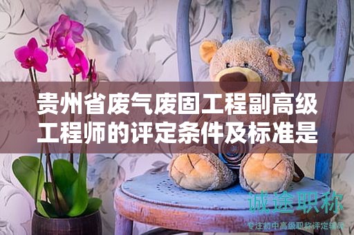 贵州省废气废固工程副高级工程师的评定条件及标准是什么？