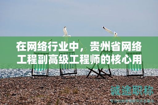 在网络行业中，贵州省网络工程副高级工程师的核心用途是什么？