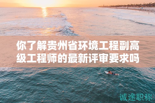 你了解贵州省环境工程副高级工程师的最新评审要求吗？