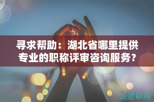寻求帮助：湖北省哪里提供专业的职称评审咨询服务？