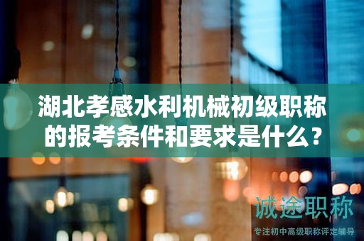 湖北孝感水利机械初级职称的报考条件和要求是什么？