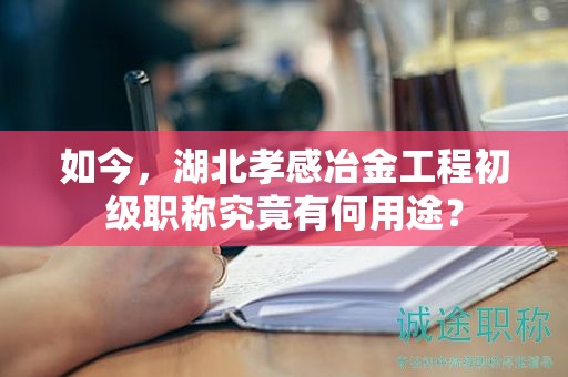 如今，湖北孝感冶金工程初级职称究竟有何用途？