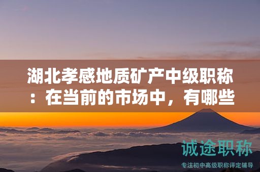 湖北孝感地质矿产中级职称：在当前的市场中，有哪些核心用途？