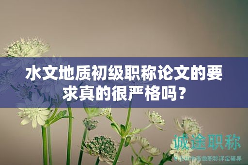 水文地质初级职称论文的要求真的很严格吗？