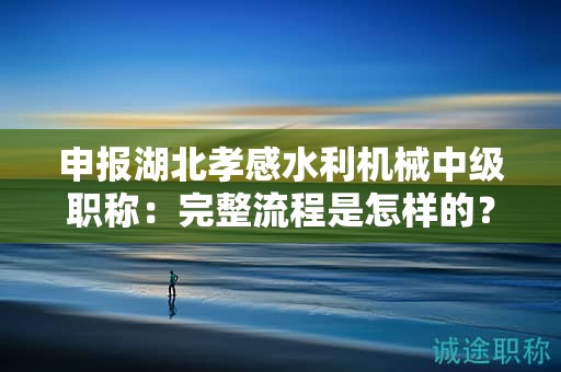 申报湖北孝感水利机械中级职称：完整流程是怎样的？