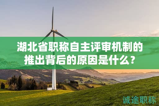 湖北省职称自主评审机制的推出背后的原因是什么？