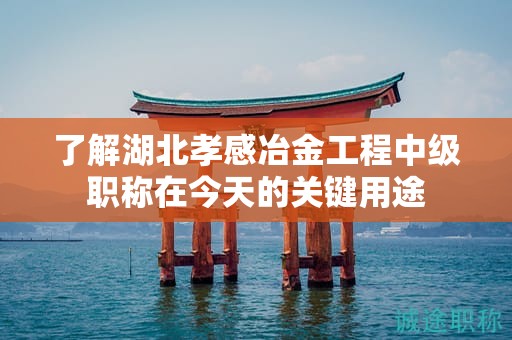 了解湖北孝感冶金工程中级职称在今天的关键用途