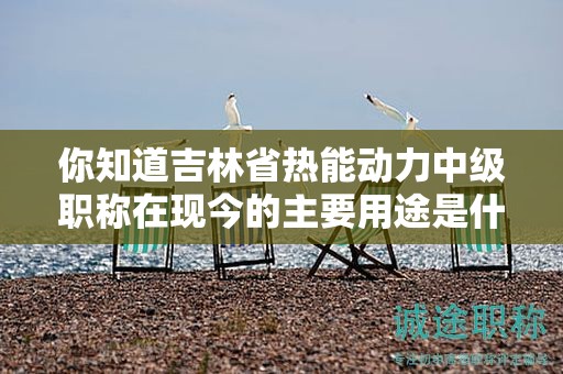 你知道吉林省热能动力中级职称在现今的主要用途是什么吗？
